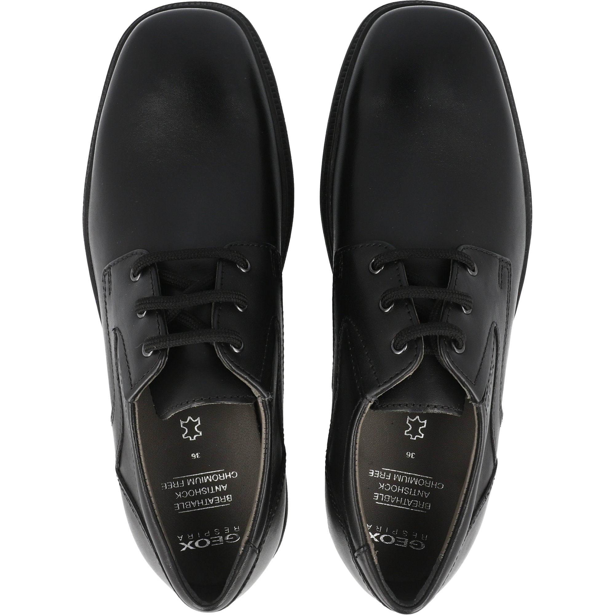 Geox Federico Black School Shoes