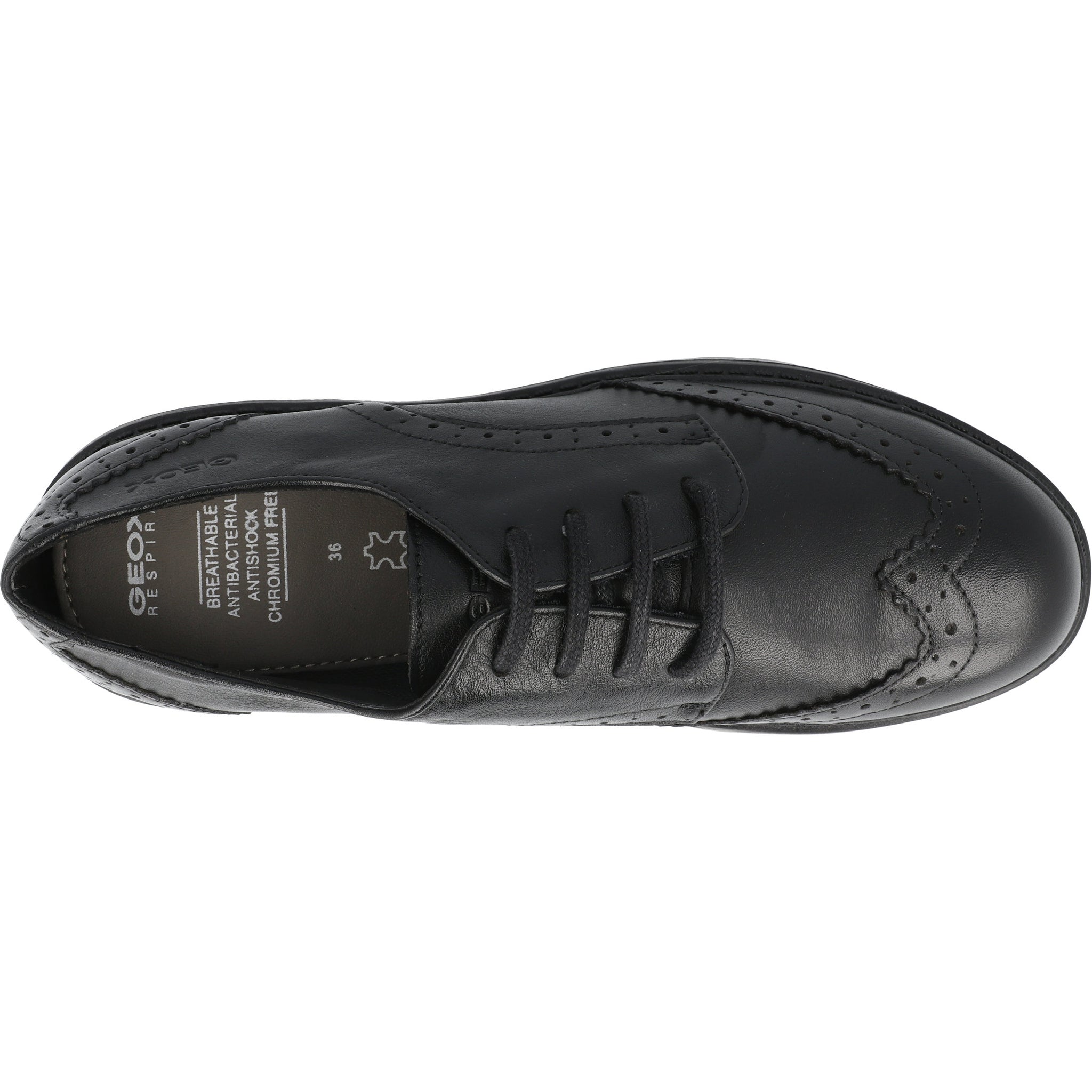 Geox Casey Black Leather Shoes